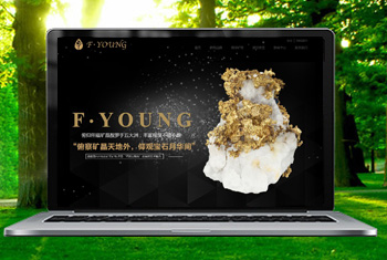 ���Ǹ۸������ﱦʯ